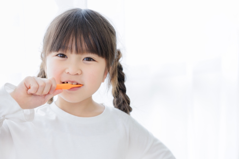 正しいブラッシング方法の指導