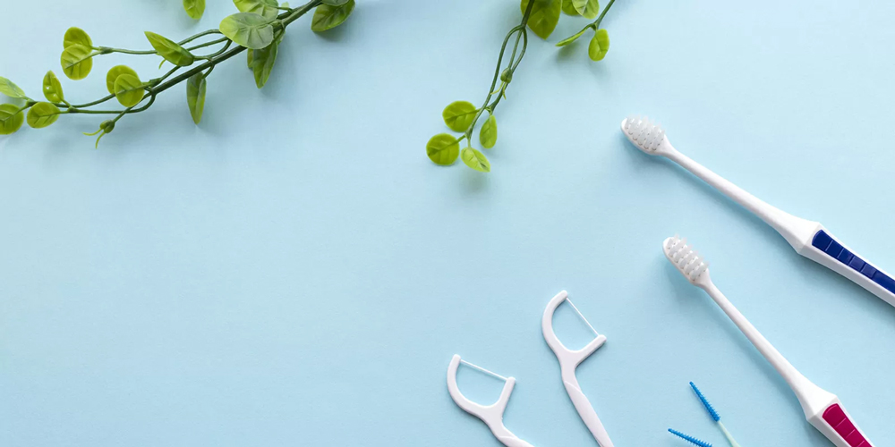 日本人の口腔内に対する予防への意識・考え方